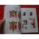 藏医人体解剖彩色图谱(藏汉对照)[16开硬精装1版1印]
