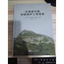 北响堂石窟加固保护工程报告