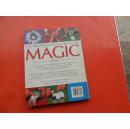 THE PRACTICAL ENCYCLOPEDIA OF MAGIC （魔术实用百科全书）见图