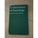 A Dictionary of Sociology  （社会学词典）