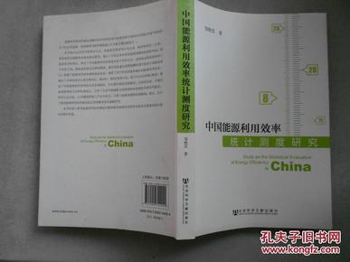 中国能源利用效率统计测度研究