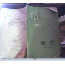 蚕豆