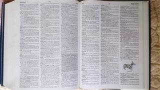 全新带护封无瑕疵 美国进口原装全新辞典 新牛津美国英语大词典  TEH NEW OXFORD AMERICAN DICTIONARY