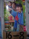 电视连续剧：傻春【2碟装DVD】