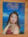 1994挂历  环球芳华（明星 美女）73厘米、宽50厘米（塑膜 无衬纸）