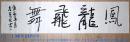 当代著名作家◆莫言《毛笔书法●凤龙飞舞》横幅宣紙软片◆当代文化界文人书法名人书法◆.【尺寸】34 X 137厘米。