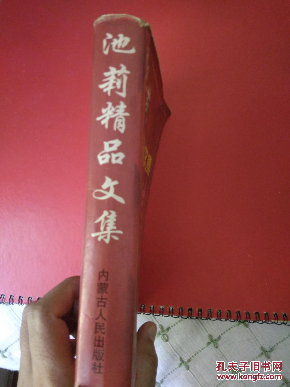 池莉精品文集