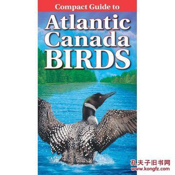 Compact Guide to Atlantic Canada Birds 加拿大鸟类图鉴