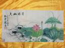 保真：荷塘幽香1  国画 白宣软片真迹  杭州画家孔云龙作品