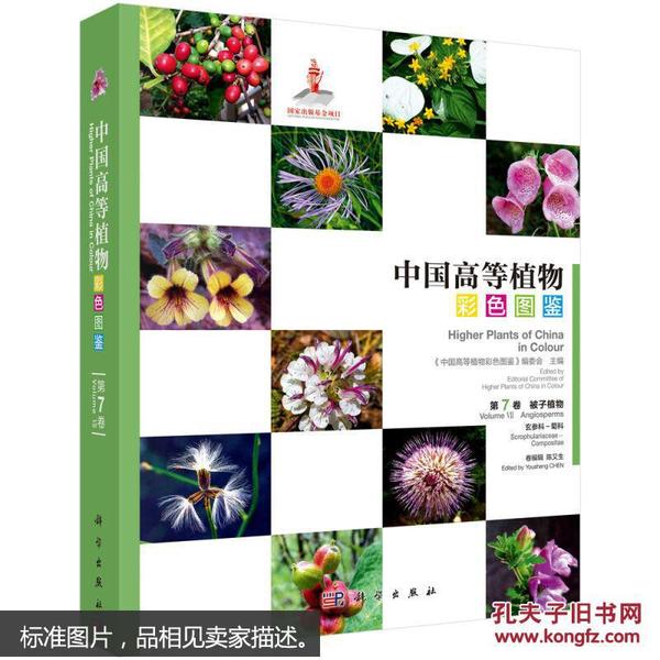 中国高等植物彩色图鉴  第七卷 被子植物 玄参科—菊科