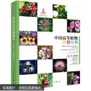 中国高等植物彩色图鉴  第七卷 被子植物 玄参科—菊科（书脊有划痕，不妨碍阅读）
