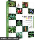 中国高等植物彩色图鉴  第二卷  蕨类植物—裸子植物