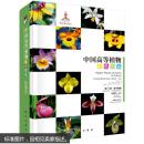 中国高等植物彩色图鉴·第九卷：被子植物 蒟蒻薯科-兰科