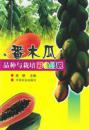 番木瓜品种与栽培彩色图说 北方温室番木瓜栽培技术VCD 1光盘+1书