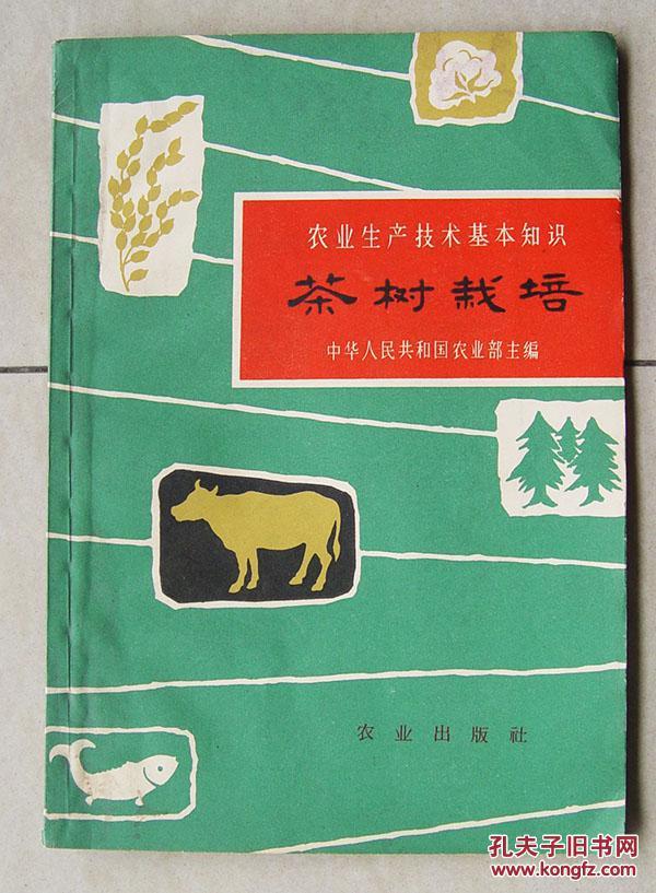 茶树栽培   1963年