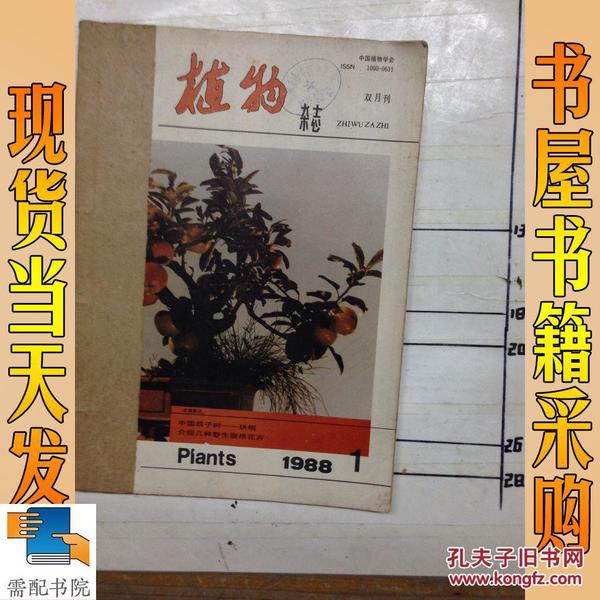 植物杂志 1988 1-6 合售