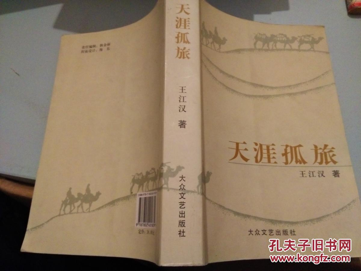 天涯孤旅（2008一版一印，9品）