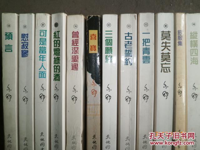 亦舒早期文学作品：12本合售（书名如图详述）