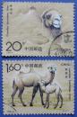 1993-3，野骆驼全套2张---全套邮票甩卖--实物拍照-- 保真
