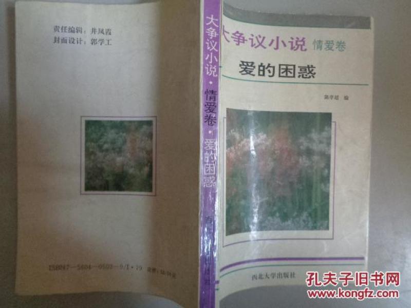 大争议小说情爱卷 爱的困惑