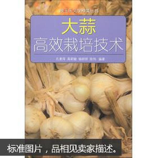 跟王乐义学种菜丛书：大蒜高效栽培技术