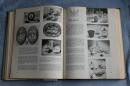 1959年英文原版古董宝藏-——西洋艺术品，家具饰品等Antiques Treasury of Furniture and Other Decorative Arts