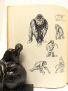 限量版，达尔文著《人类的自然史 》Fritz Kredel版画插图，1971年出版