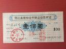 老金融票证收藏  93年邢江县股份合作制企业股权证（图案漂亮、带持有人姓名、单位印章）