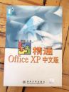 精通office XP中文版