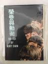 荣誉与勋衔（一本关于披头士的书）