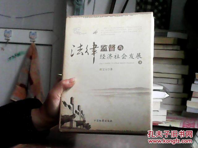 法律监督与经济社会发展 下