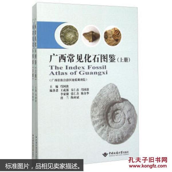 广西常见化石图鉴（套装上下册）