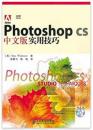 Photoshop CS中文版实用技巧(附光盘)