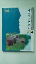 中篇小说选刊（2015年第4期，总第205期）:小说新势力专号