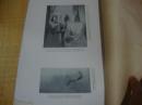 8开珂罗版画册,1935年<<高奇峰先生遗画集, 第一辑>>品图自定, 货号712