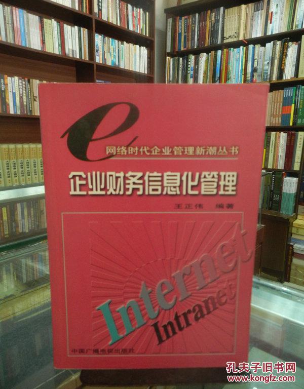 企业财务信息化管理——网络时代企业管理新潮丛书