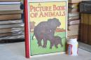 1910年，英文原版，罕见，A Picture-Book Of Animals Or Walks And Talks In Jungleland