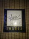 王翔白描荷花
