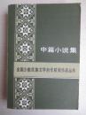 中篇小说集（全国少数民族文学创作获奖作品丛书）