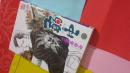 日语孤本黑道色女男妾漫画特价十品情感火热 弱虫 チンピラ虫第22卷 立原あゆみ著画 日本文艺社出版04版32开老大女人老二用涉黑偷情色露内情暴力内幕多美女流氓当道黑横行多男藏女作多情色魔混世性