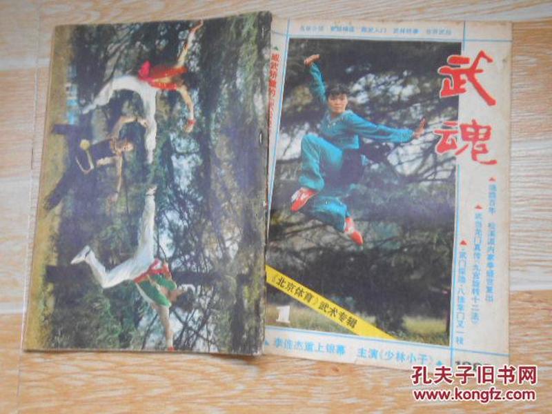 武魂1983·1【武术与武德、罗汉神打对联、九宫旋转十二法、记上海体育学院副教授蔡龙云、达摩与张三丰、松溪派内家拳的本源和发展、武术名师王籁声、浅谈武术流派的形成、董海川是不是八卦掌的始祖、等】