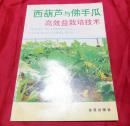 西葫芦与佛手瓜高效益栽培技术------农业技术类书籍保正版