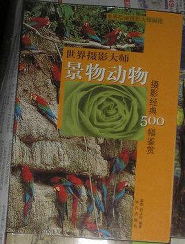 世界摄影大师景物动物.摄影经典500幅鉴赏（下）