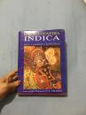 ENCYCLOPAEDIA INDICA INDIA PAKISTAN BANGLADESH 1 Yajurveda 精装 书品如图 避免争议