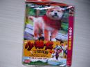 小柴犬之千里寻亲（DVD9，简装）粤日双语