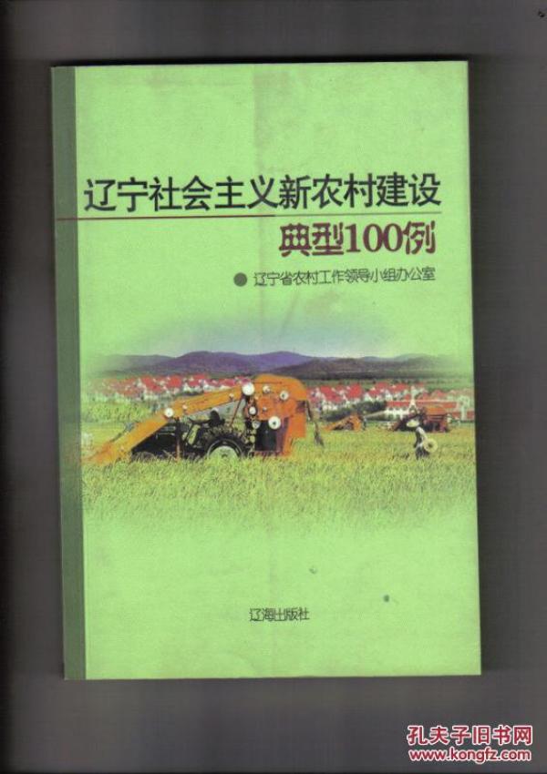 辽宁社会主义新农村建设典型100例