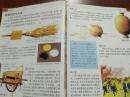 彩图mini百科全书：兵器百科/纪江红【精装64开见图】