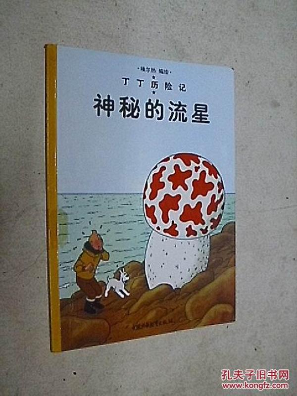 丁丁历险记：神秘的流星