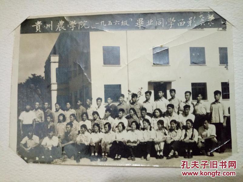 老照片 贵州农学院56年毕业留念