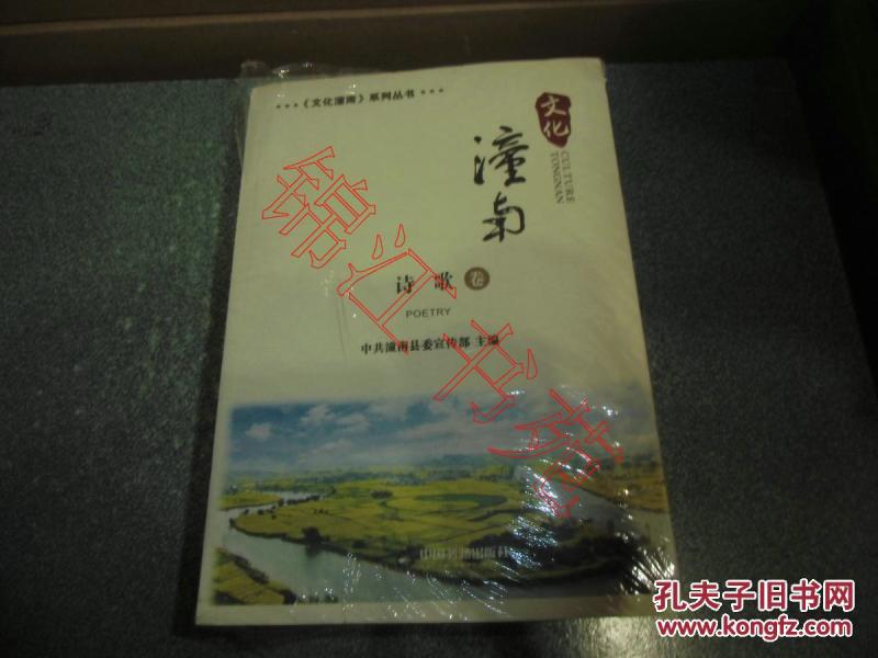 文化潼南（诗歌、散文、小说、报告文学、戏剧音乐、书画摄影）（全套6本合售）